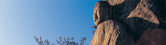 
	���� ���꿡 �ִ� ���ֺ�. ���ȭ�� ���������� ���� �ӿ� ���� ���� ��ȭ������� ���� �̵��� �ձ�� �����ƴ�. ������ 2000�� ���׽��� ���蹮ȭ�������� �����ƴ�.
